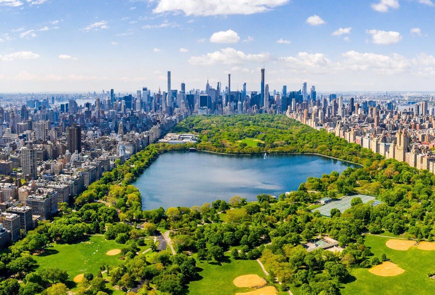 Central Park (New York City)